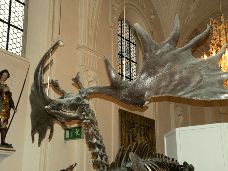 PASSIONE PER IL CERVO